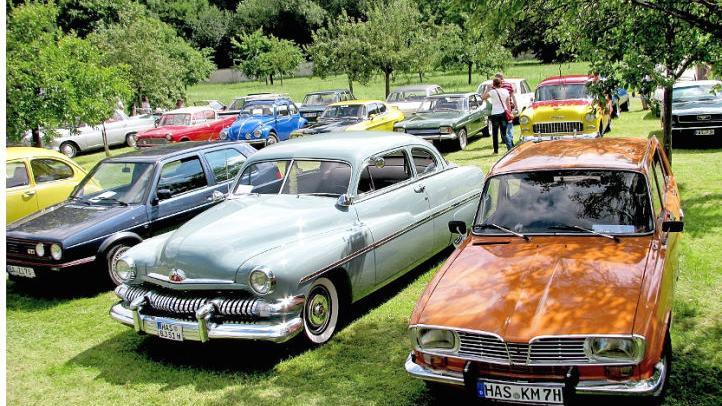 Der Gleisenauer Schlosspark eignet sich wunderbar als Kulisse für schöne alte Fahrzeuge. Am zweiten Augustwochenende treffen sich hier die Fahrzeugfreunde. Fotos: Ralf Naumann