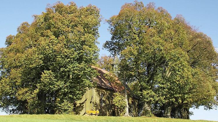 Weithin sichtbar ist der geschlossene Lindenkranz des Veitsbergs, seit die Gemeinde etliche Flächen aufkaufte und die markante Silhouette freistellen ließ. Zudem weisen Symboltafeln an der Autobahn auf den Berg hin - das lockt natürlich zusätzlich Besucher an. Fotos: Matthias Einwag