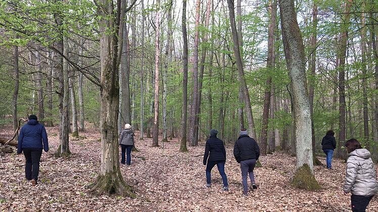 Im Wald verbringt jeder eine Weile mit sich allein. Das ist nicht für jeden einfach. Foto: Pamela Beer