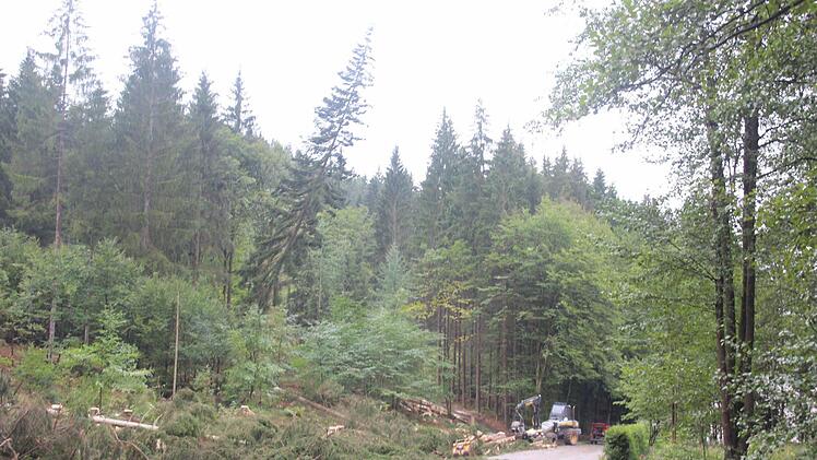 Immer wieder fallen Bäume auf die alte Kreisstraße. Ein Betreten durch Schaulustige ist viel zu gefährlich und deshalb strikt verboten. Über Funk wird abgesprochen, wann eines der Baustellenfahrzeuge das Straßenstück passieren kann.  Foto: Friedwald Schedel