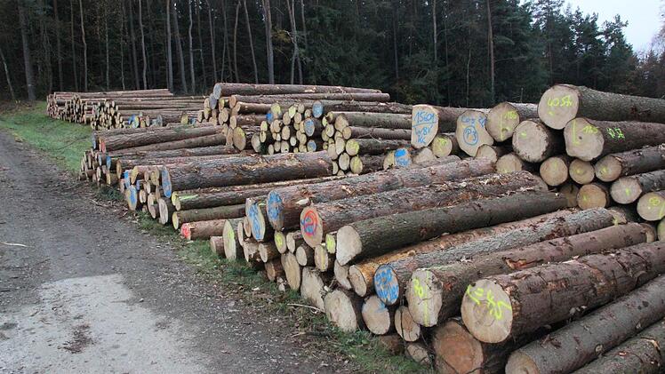 Der Lagerplatz am Waldrand bei Wildenberg  Foto: Friedwald Schedel