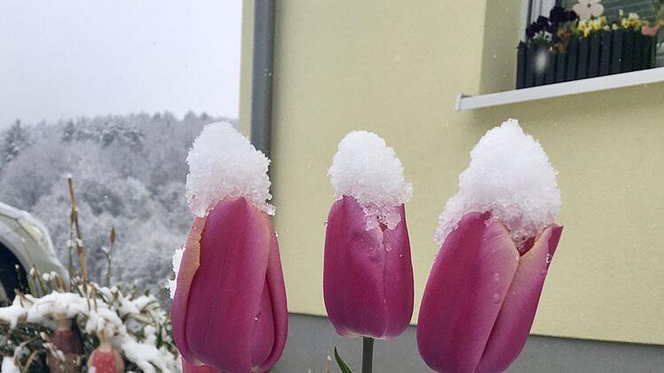 Schnee an Ostern in Bad Kissingen Foto: Kathrin Kupka-Hahn