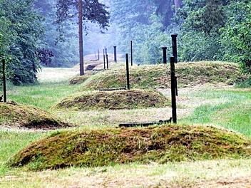 Flachbrunnen wie hier im Bamberger Stadtwald befinden sich auch in den Hirschaider Büschen westlich von Strullendorf. Foto: Stadtwerke Bamberg