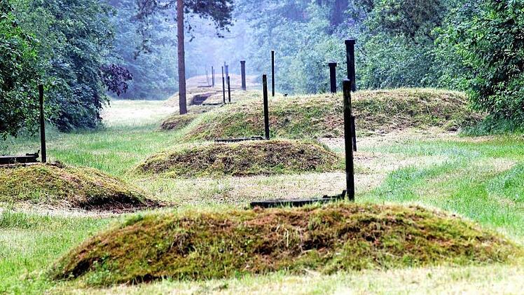 Flachbrunnen wie hier im Bamberger Stadtwald befinden sich auch in den Hirschaider Büschen westlich von Strullendorf. Foto: Stadtwerke Bamberg