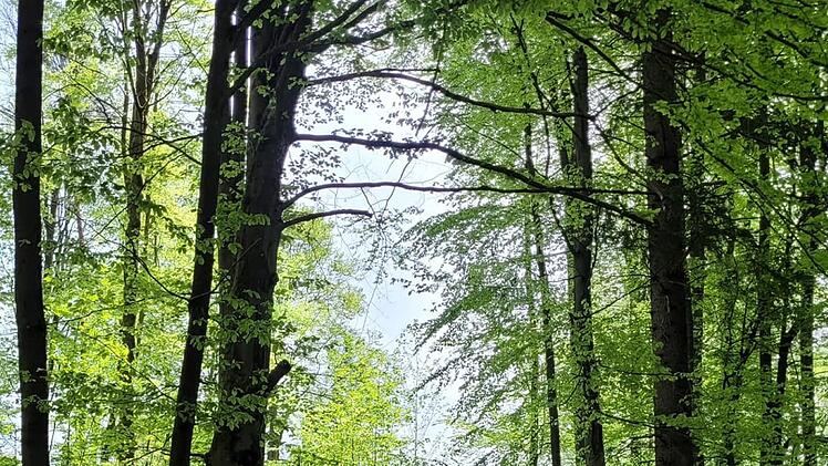 N&uuml;rnberg: "Festsitzendes Kind" - Bergwacht mit mehreren Eins&auml;tzen