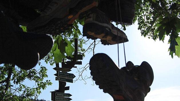 Natur und Kultur - auf dem FrankenwaldSteig gibt es f&uuml;r Wanderer viel zu erleben. Foto: Archiv/Ralf Oelschlegel