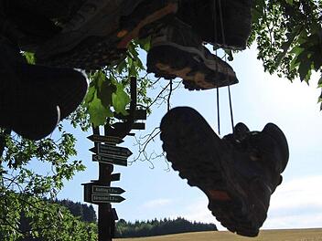 Natur und Kultur - auf dem FrankenwaldSteig gibt es für Wanderer viel zu erleben. Foto: Archiv/Ralf Oelschlegel