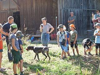 Die Wasserarbeit mit dem Hund war eine der Stationen beim Ferienprogramm mit zehn Kindern der Jäger der BJV-Kreisgruppe Hammelburg.