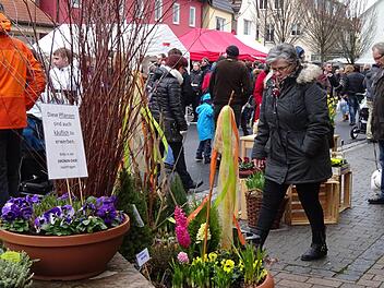 Einen Ausblick auf das Frühjahr gab es beim Markt in Euerdorf, der wieder sehr gut besucht war.  Foto: Doris Bauer