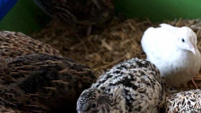 Foto: Richard Sänger