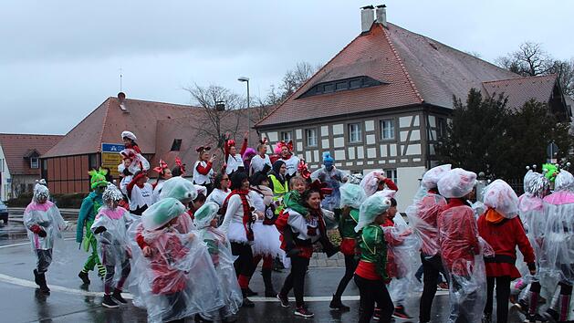 Die Stimmung bei den Weisendorfer Narren war bestens, im Bild eine Gruppe der "Blummazupfer".     Foto: Katarina Amtmann