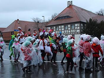 Die Stimmung bei den Weisendorfer Narren war bestens, im Bild eine Gruppe der "Blummazupfer".     Foto: Katarina Amtmann