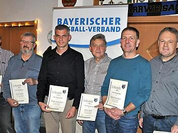 Die geehrten Jubilare des TSV erhielten von Vorstandsmitglied Georg Reinwald (links) Urkunden und Ehrennadeln. Weiter von links: Wilfried Autsch, Erich Raithel, Philipp Barthelmann, Dieter Mann, Roland Hartenfels, Klaus Stöhr und Emil Barthelmann  Fotos: Simon Albrecht