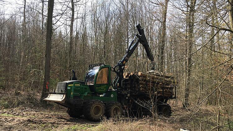 Käferholz wird bei Scheßlitz aus dem Wald gebracht.Foto: Anette Schreiber