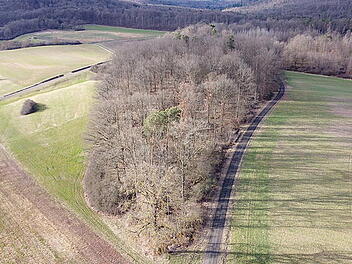 Hier entsteht der erste Waldfriedhof in der Region Bamberg