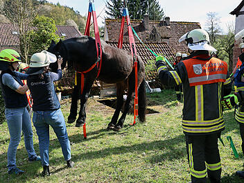 Tierrettung im Kreis Aschaffenburg: Pferd mit Kran aus Grube befreit