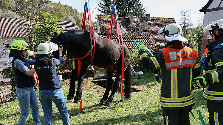 Tierrettung im Kreis Aschaffenburg: Pferd mit Kran aus Grube befreit
