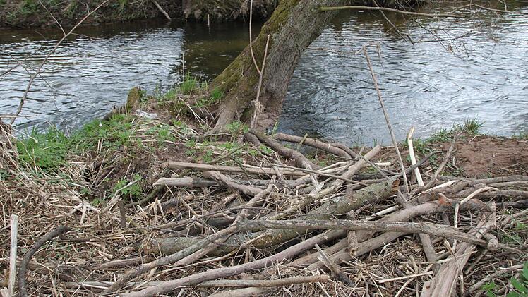 Daraus wurden wasserdichte Filzhüte hergestellt.