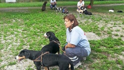 Die BRK-Hundestaffel zu Gast in Königsberg Foto: Gerold Snater