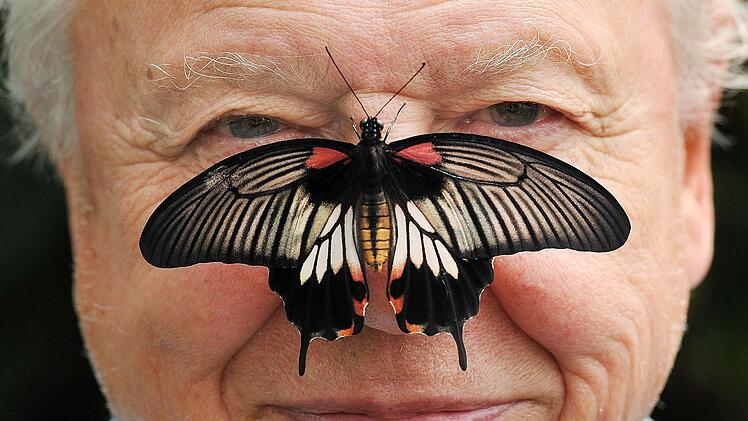 David Attenborough wird 100