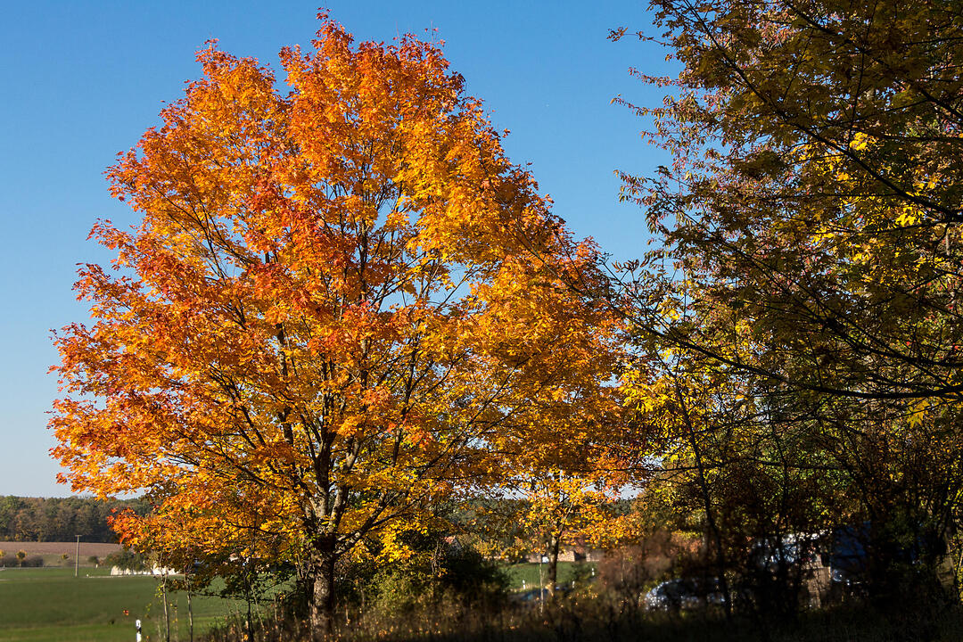 Fotos Konrad Thomann