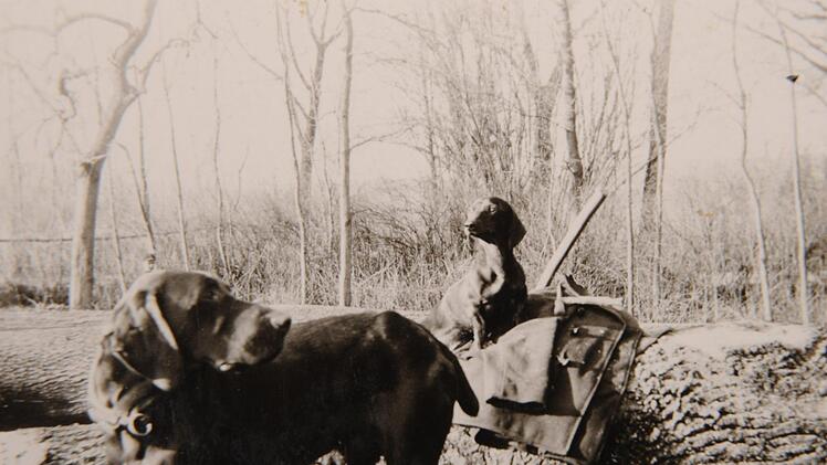 Hunde in Oberau Album von Günter Wieske