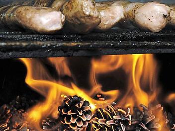 Das Braten über Kiefernzapfen oder auch Buchenholz verursacht erhöhte Benzo[a]pyren-Werte.  Foto: David Ebener/dpa