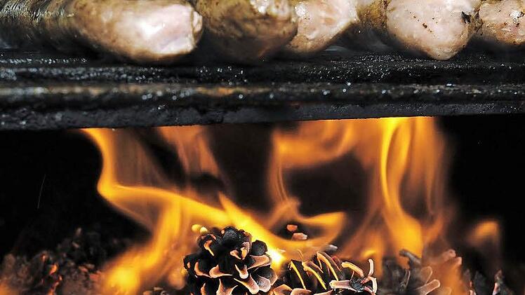 Das Braten über Kiefernzapfen oder auch Buchenholz verursacht erhöhte Benzo[a]pyren-Werte.  Foto: David Ebener/dpa