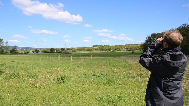 Frank Schneider vom Landesbund für Vogelschutz hat die Braunkehlchen immer im Blick. Die Brachflächen im Rotmaintal bieten den Vögeln gute Lebensbedingungen. Rund 2000 Bambuspfosten, die Helfer des LBV eingeschlagen haben (Bildmitte), dienen den Vögeln als Ansitzwarten. Foto: Katrin Geyer