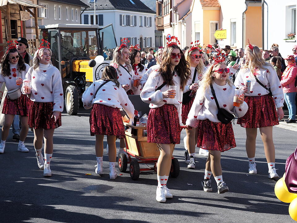 Buntes Faschingstreiben in Unterfranken!