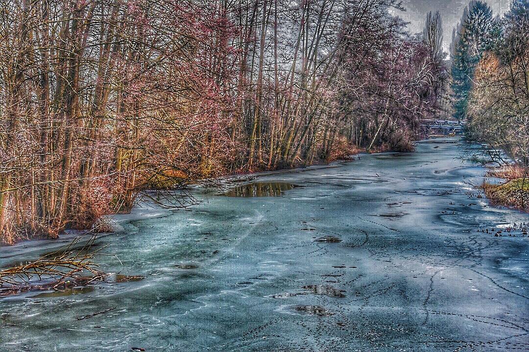 Die schönsten Frühlingsfotos aus den Haßbergen