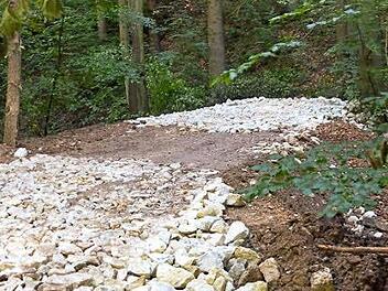 Mit dem am Freitag im Wald aufgeschüttetem Damm konnte einiges an Wasser zurückgehalten werden.  Foto: Christian Ziegler