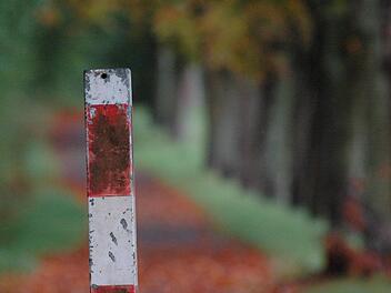 Kein Verkauf von st&auml;dtischem Wald, einen Grundsatzbeschluss mit diesem Kerngedanken fasste der st&auml;dtische Finanzausschuss am Mittwoch. Hintergrund ist der Streit zwischen Stadt und Stiftung Bewusstseinswissenschaften rund um den Wald f&uuml;r die Seele. Da hat Joachim Galuska der Stadt ein Kaufangebot &uuml;ber 300 000 Euro f&uuml;r das Areal unterbreitet. Siegfried Farkas