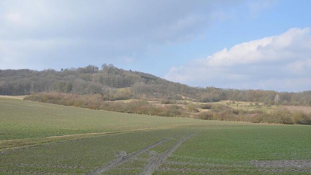 Die mit Hecken und Streuobstbeständen reich gegliederte Landschaft am Fuße des Georgenbergs ist im Besitz der Wildland-GmbH und wird bereits jetzt vom Landschaftspflegeverband Coburger Land gepflegt. Foto: CT-Archiv Rainer Lutz