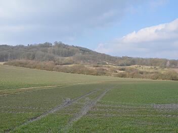 Die mit Hecken und Streuobstbeständen reich gegliederte Landschaft am Fuße des Georgenbergs ist im Besitz der Wildland-GmbH und wird bereits jetzt vom Landschaftspflegeverband Coburger Land gepflegt. Foto: CT-Archiv Rainer Lutz