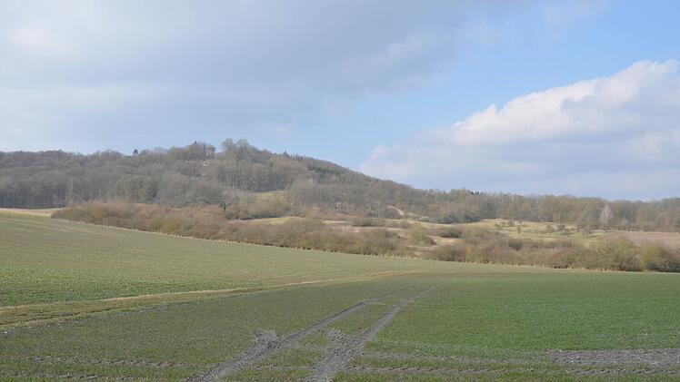 Die mit Hecken und Streuobstbeständen reich gegliederte Landschaft am Fuße des Georgenbergs ist im Besitz der Wildland-GmbH und wird bereits jetzt vom Landschaftspflegeverband Coburger Land gepflegt. Foto: CT-Archiv Rainer Lutz