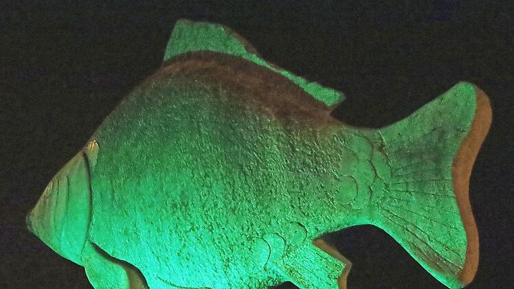 Der steinerne Karpfen in Höchstadt wird am "Paddy's Day" grün angestrahlt. Foto: Johanna Blum