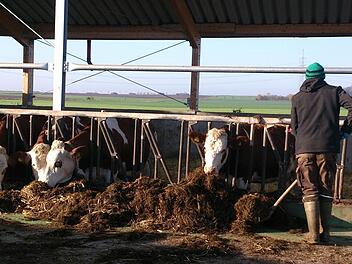 Johannes Gottwald hat die Landwirtschaft von seinem Vater übernommen. Für die Übergangszeit nutzen Vater und Sohn die Landwirtschaftliche Familienberatung. Foto: privat