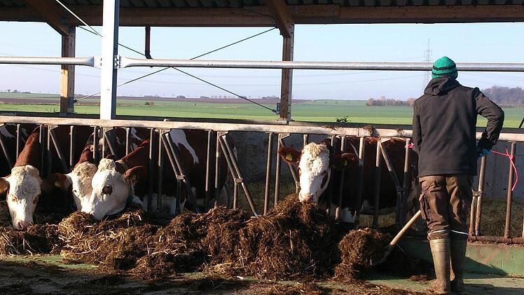 Johannes Gottwald hat die Landwirtschaft von seinem Vater übernommen. Für die Übergangszeit nutzen Vater und Sohn die Landwirtschaftliche Familienberatung. Foto: privat