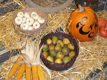 Kreiserntedankfest in Neuenmarkt Foto: Werner Rei&szlig;aus