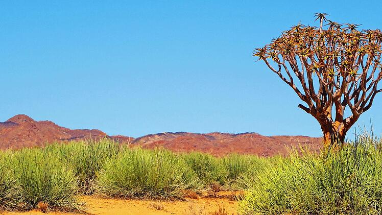 Namibia ist f&uuml;r seine beeindruckenden Landschaften bekannt.