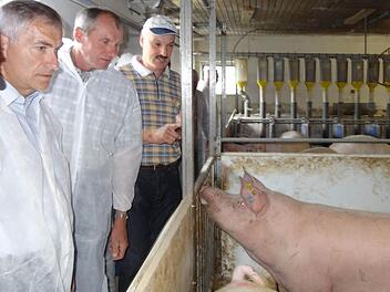 Klaus Niedermeyer erklärt, worauf es bei der Schweinehaltung ankommt. Foto: Elli Stühler