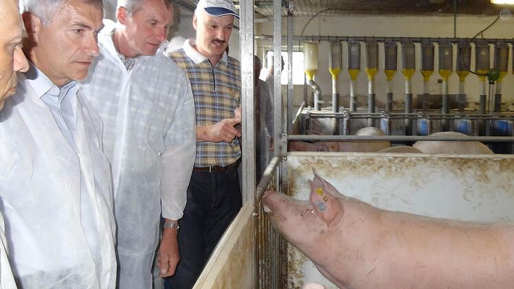 Klaus Niedermeyer erklärt, worauf es bei der Schweinehaltung ankommt. Foto: Elli Stühler