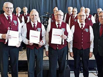 Die Geehrten freuen sich über ihre Auszeichnungen, die ihnen vom stellvertretenden Vorsitzenden des Sängerkreises Bamberg, Reinhold Stubrach (vorne, 2. v. r.), überreicht wurden.