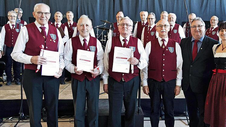 Die Geehrten freuen sich über ihre Auszeichnungen, die ihnen vom stellvertretenden Vorsitzenden des Sängerkreises Bamberg, Reinhold Stubrach (vorne, 2. v. r.), überreicht wurden.