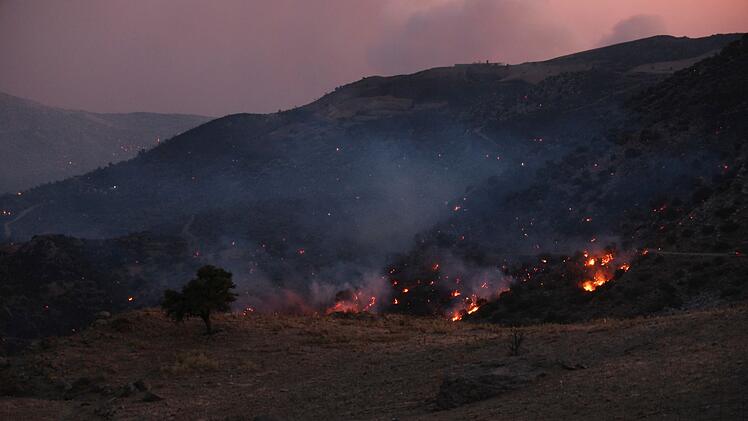 Waldbr&auml;nde in Griechenland - Kreta