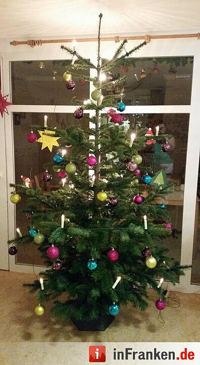 Weihnachten in Franken: Die Christbäume unserer Leser