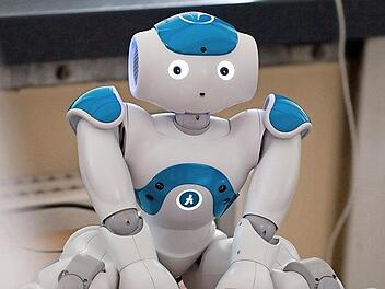 F&uuml;r ihre Studie nutzten die Wissenschaftler einen menschen&auml;hnlichen Roboter. Foto: Liliana Merlin Frevel