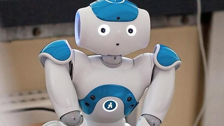 F&uuml;r ihre Studie nutzten die Wissenschaftler einen menschen&auml;hnlichen Roboter. Foto: Liliana Merlin Frevel