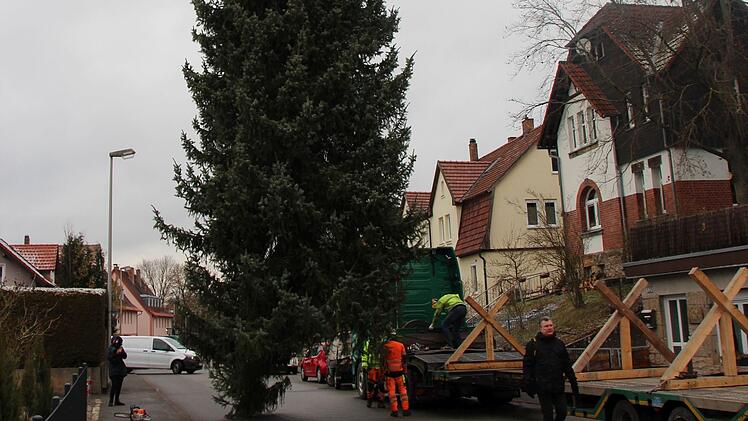 Noch hängt der Baum am Haken, gleich wird er verladen